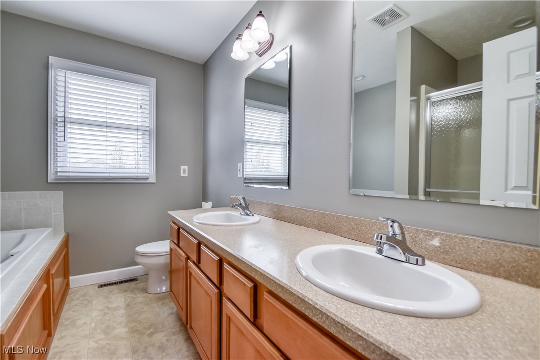 223 Appaloosa Trail, Madison, Ohio image 37