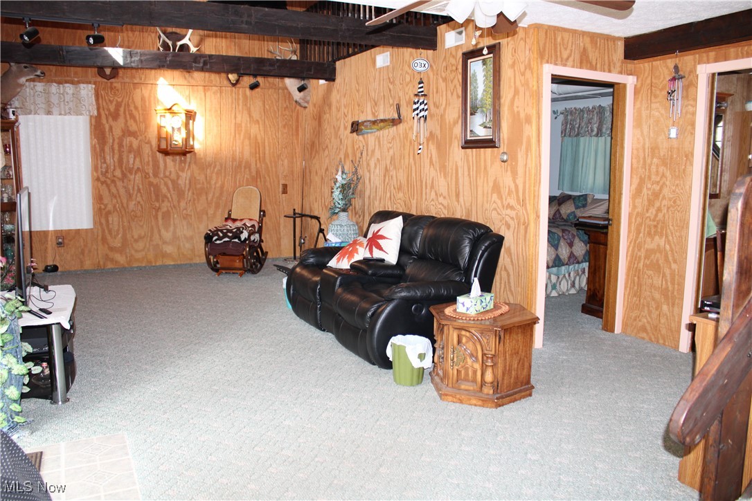 39000 Lees Run Road, Cadiz, Ohio image 8
