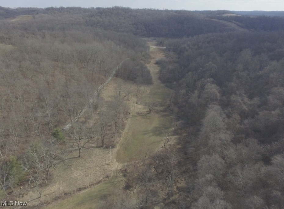 39000 Lees Run Road, Cadiz, Ohio image 31