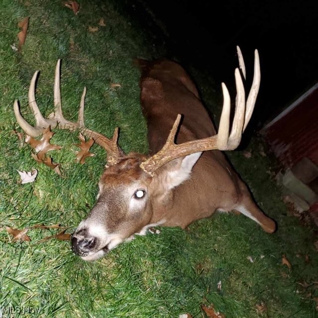 39000 Lees Run Road, Cadiz, Ohio image 44