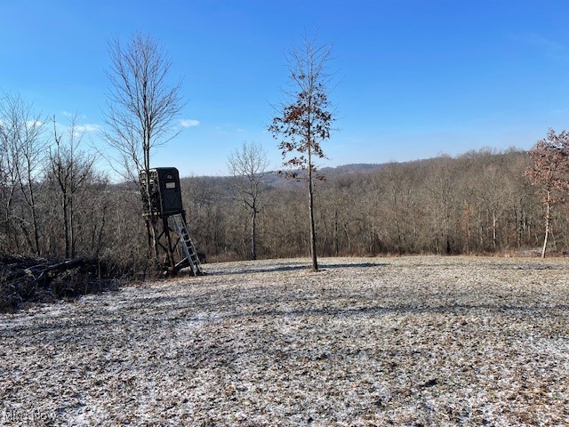 39000 Lees Run Road, Cadiz, Ohio image 42