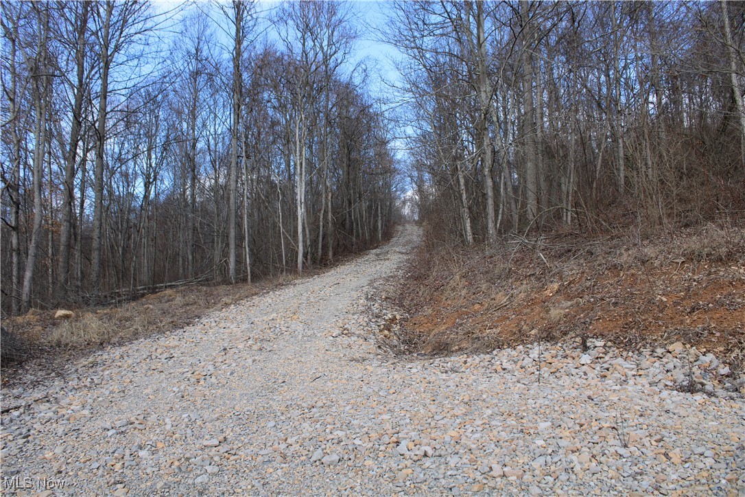 39000 Lees Run Road, Cadiz, Ohio image 39
