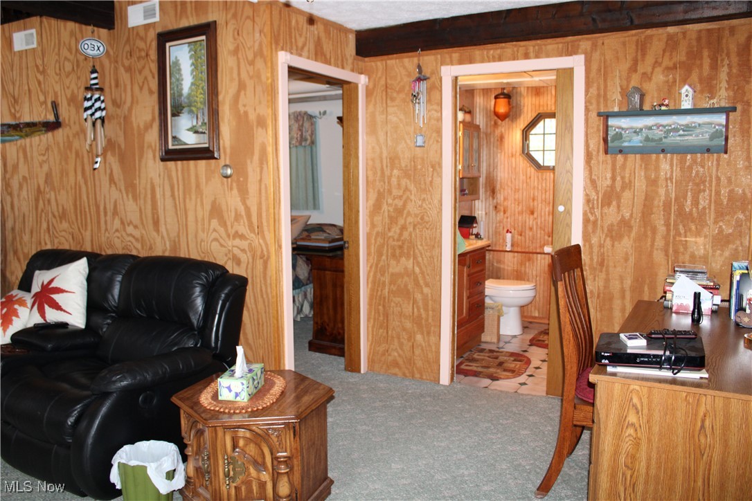 39000 Lees Run Road, Cadiz, Ohio image 10