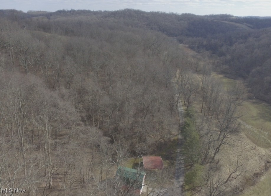 39000 Lees Run Road, Cadiz, Ohio image 32