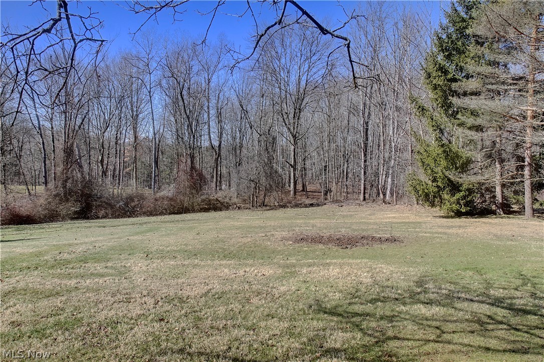 Walton Hills Estates 02 - Residential