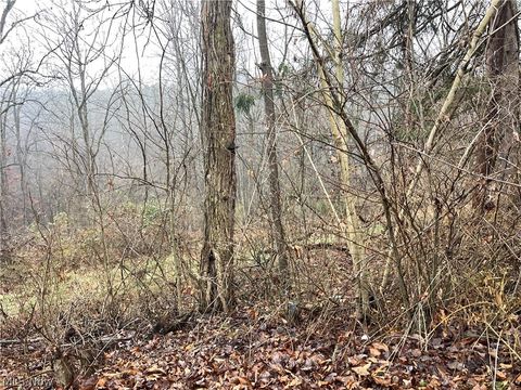 Vacant Land For Sale - 16 Woodcliff Acres<br/> Washington, WV 26181