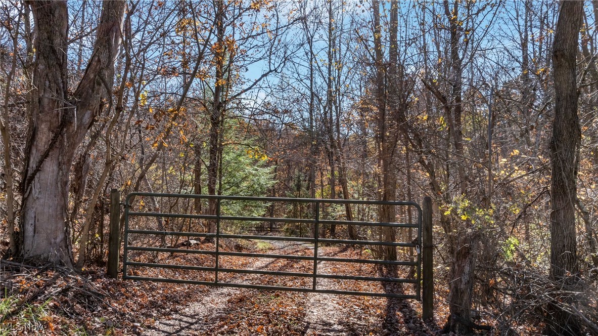 Pleasant Ridge Road, Belmont, Ohio image 7