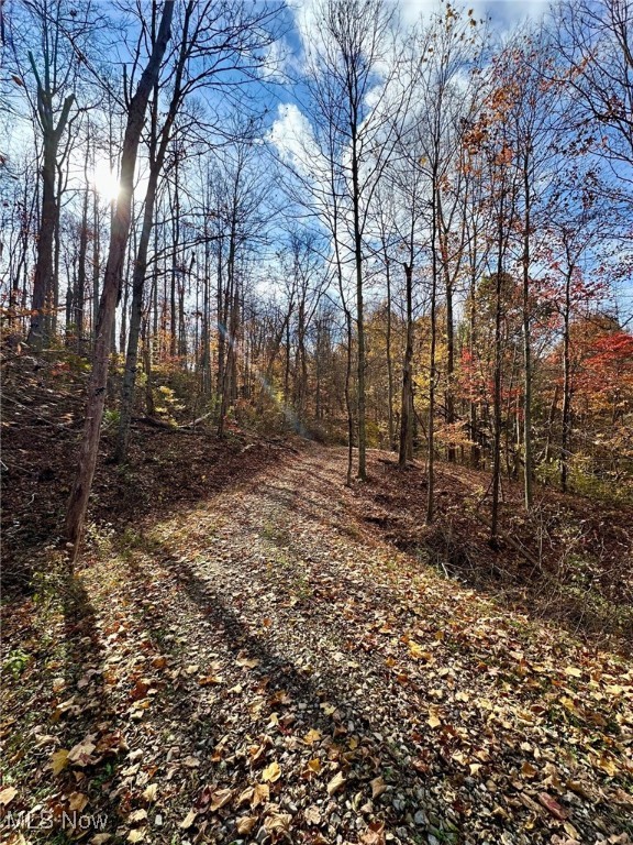 Pleasant Ridge Road, Belmont, Ohio image 9