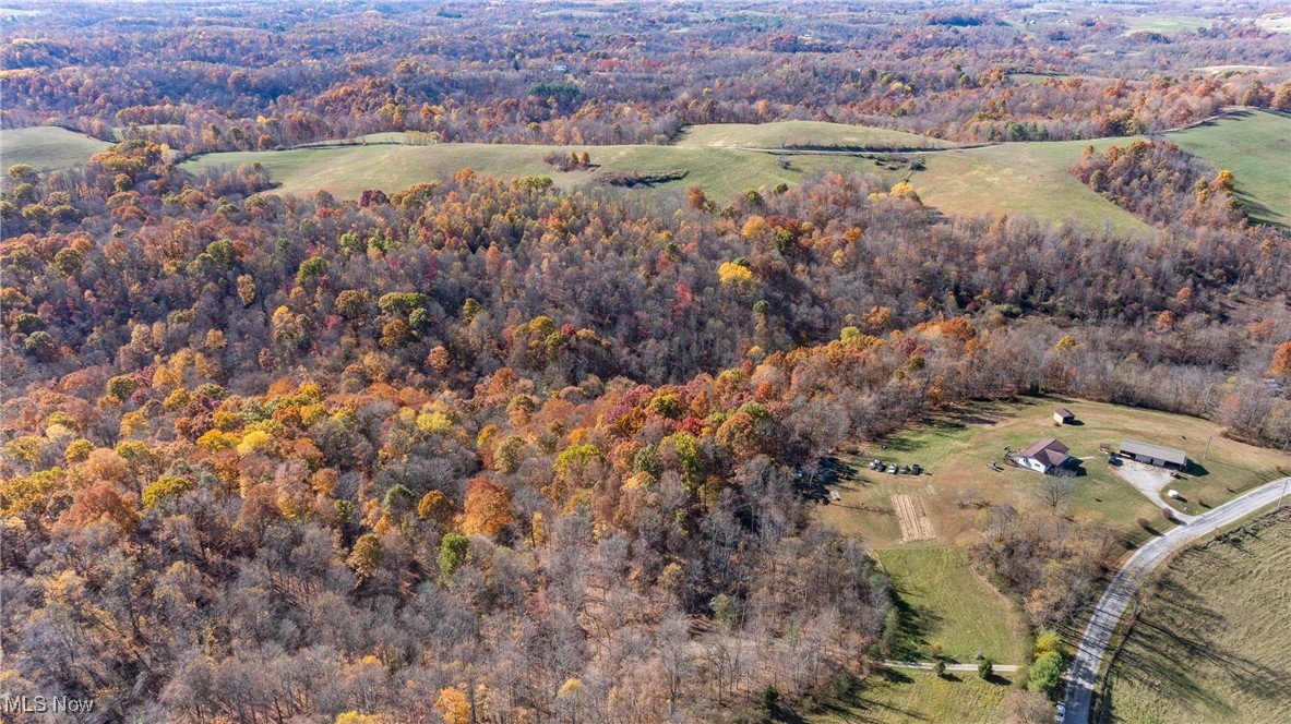 Pleasant Ridge Road, Belmont, Ohio image 28