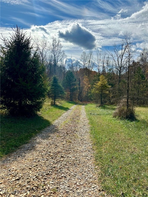 Pleasant Ridge Road, Belmont, Ohio image 6