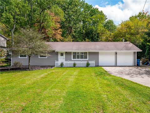 9749 E River Road N Olmsted Falls OH 44138