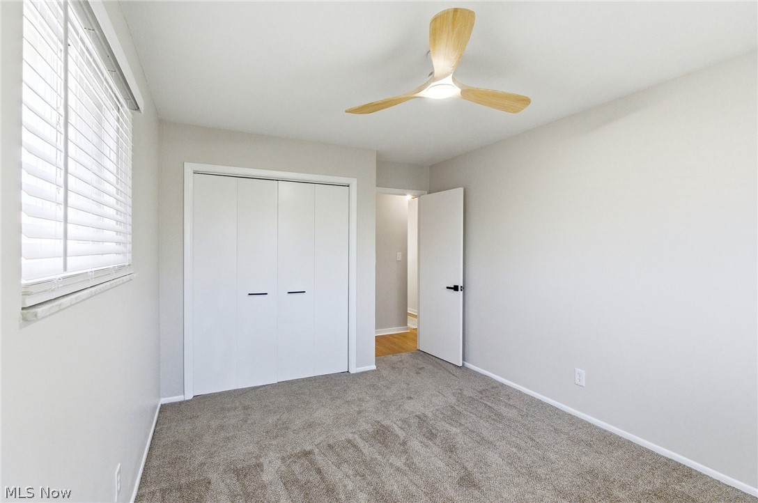 Yamshons Park Allotment - Residential