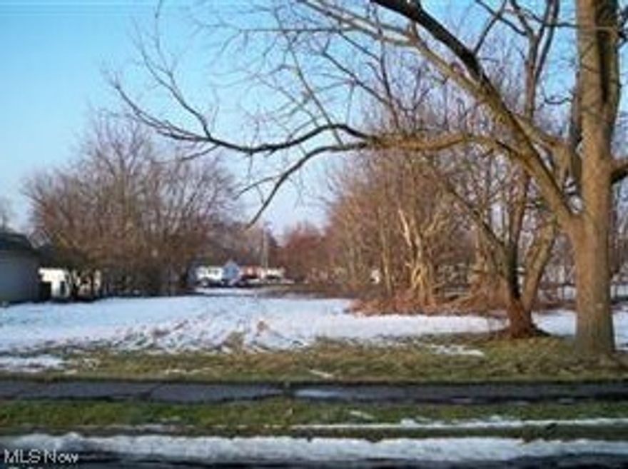 Level, cleared buildable lot (94' x 373'). This property is a deep lot that goes back to Avalon St. This lot qualifies for a 15-year tax abatement (on structure only). Call Realtor for more details.