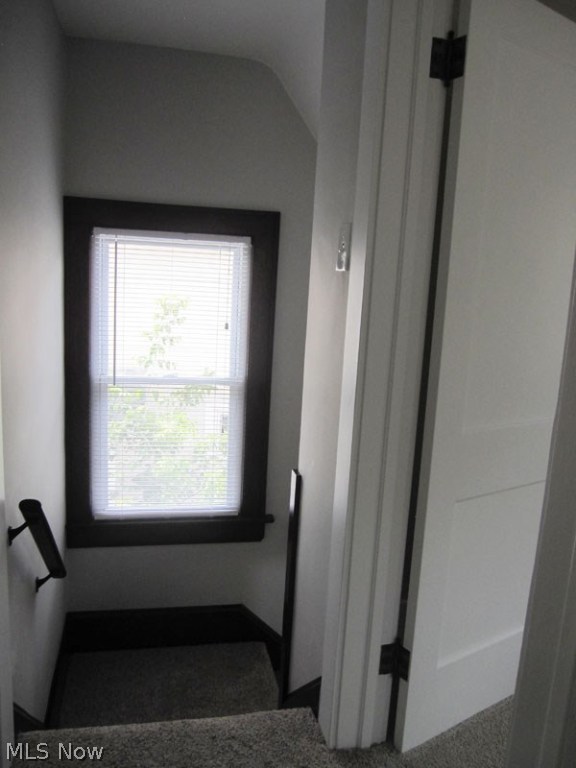 Bellows Allotment - Residential