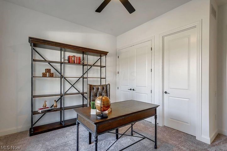 The Ravines at McCammon Chase - Residential