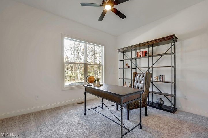 The Ravines at McCammon Chase - Residential