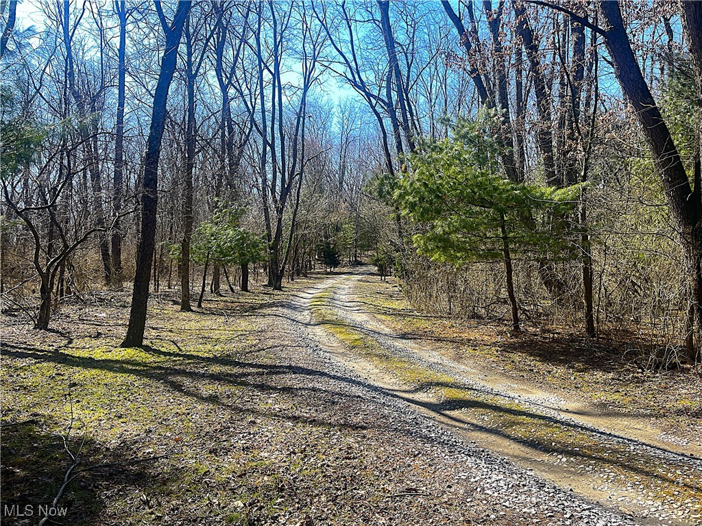 21618 Schenck Creek Road, Howard, Ohio image 39