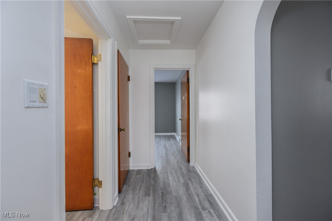 Springfield Terrace - Residential