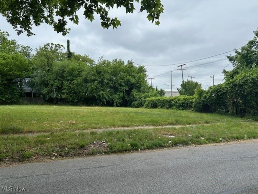 Cleared city lot that's ready for purchase! There used to be a home on this lot so check with the city of cleveland building department about buildability. Utilities are available at the street. There several local organizations that provide assistance with homes in cleveland.
