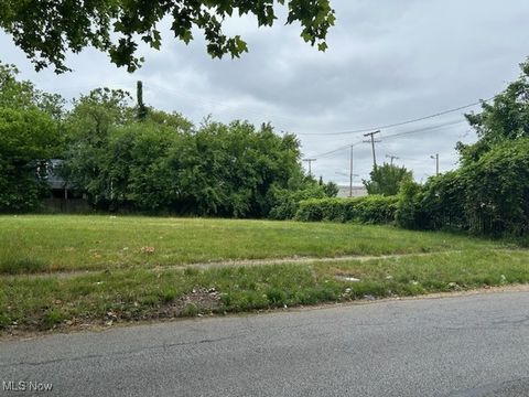Vacant Land For Sale - 10121 Somerset Avenue<br/> Cleveland, OH 44108