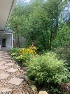 459 Bentleyville Road, Chagrin Falls, Ohio image 50