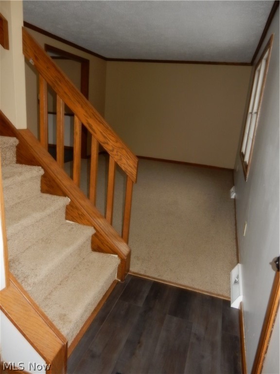 Irish Oaks - Residential