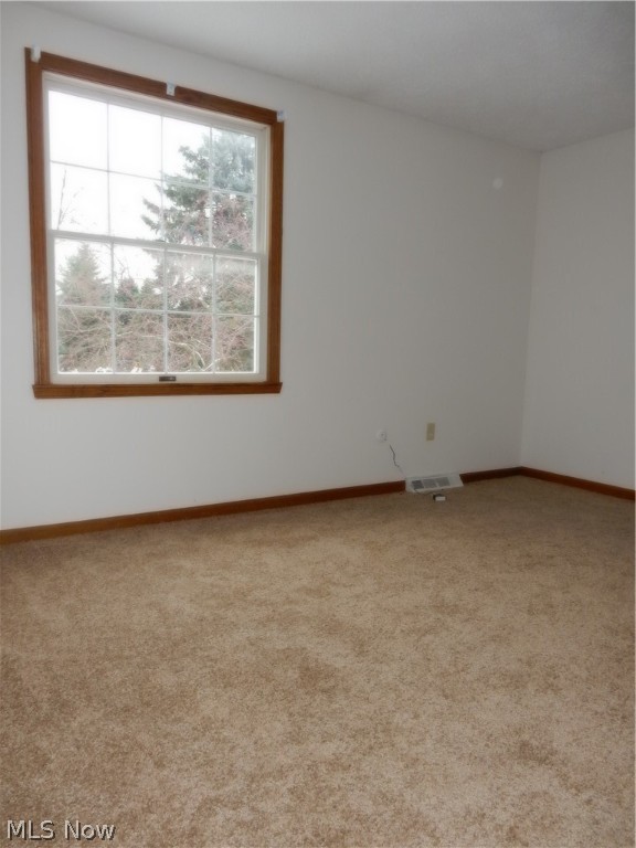 Irish Oaks - Residential