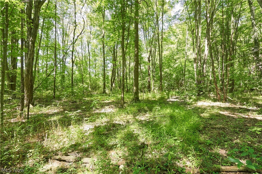 V/L - 5.8 Acres Ridgewood Road