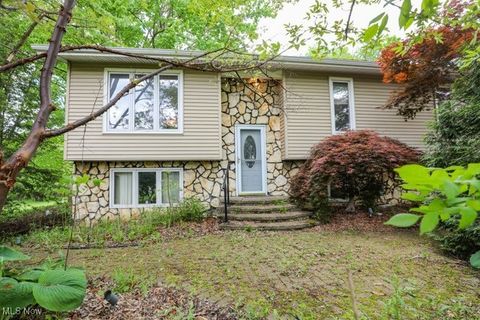 4217 State Route 82 Mantua OH 44255