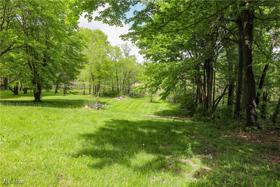 4217 State Route 82, Mantua, Ohio image 32