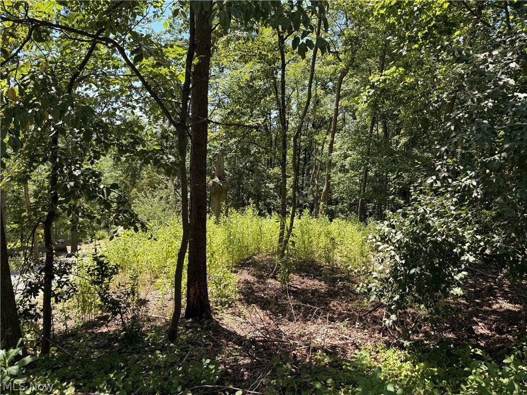 Lot 1623 Comanche Trail