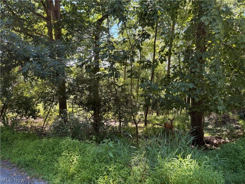 Vacant Land For Sale - LOT 1623 Comanche Trail<br/> Carroll County, Malvern, OH 44644