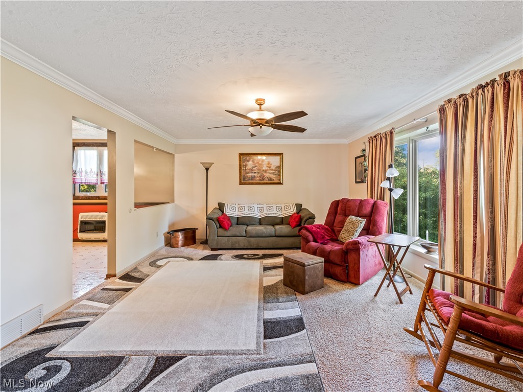 Little Springfield Farms Allot - Residential