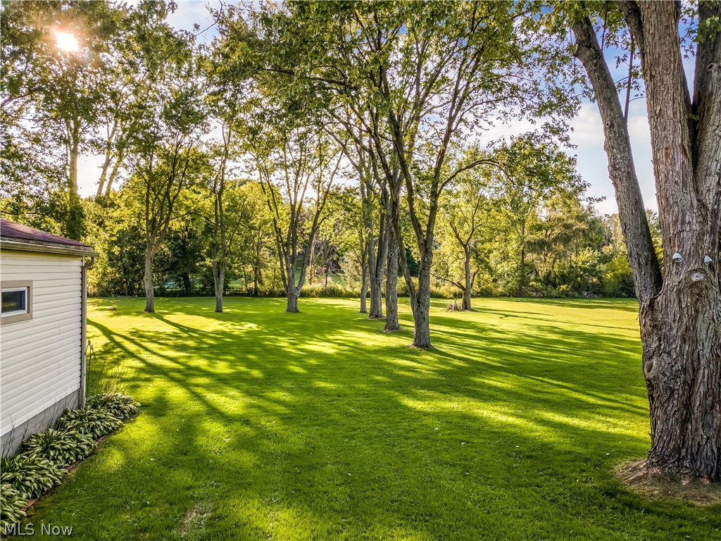 Little Springfield Farms Allot - Residential