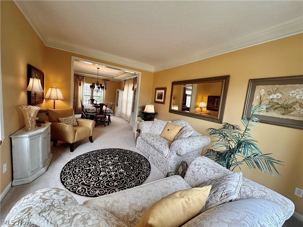 6062 White Tail Lane