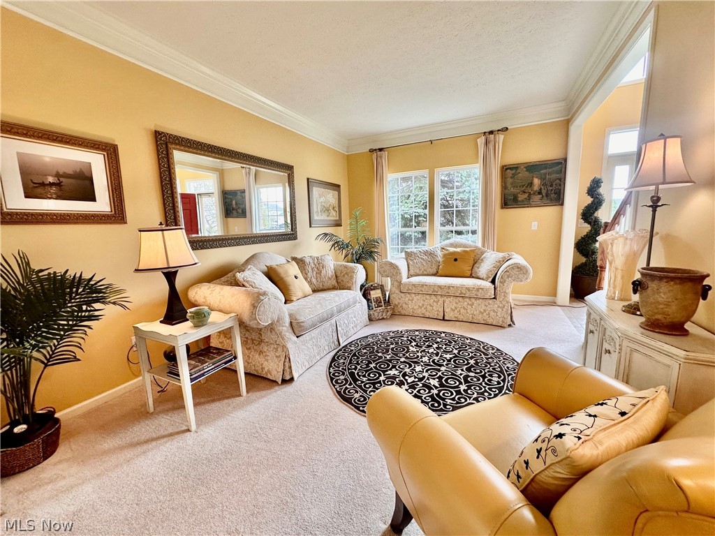 6062 White Tail Lane