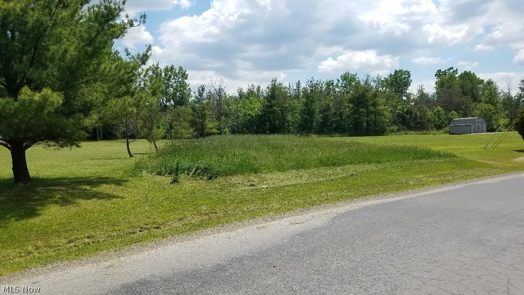 Cinnamon Lake - Land