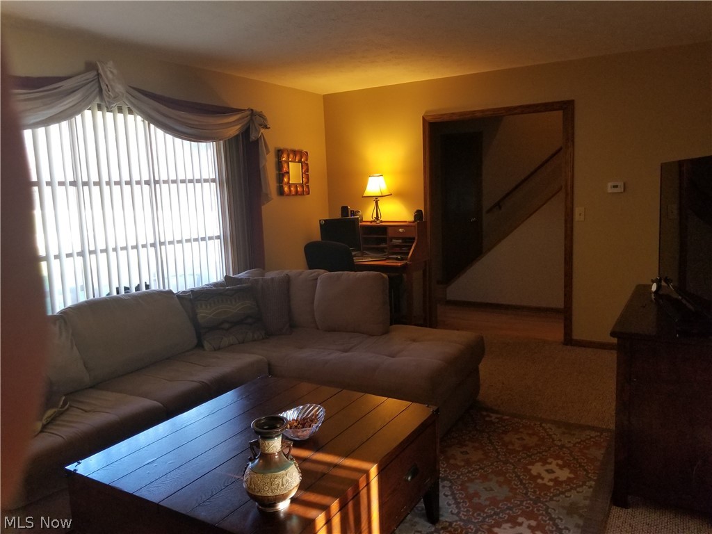 Meadow Allotment - Residential