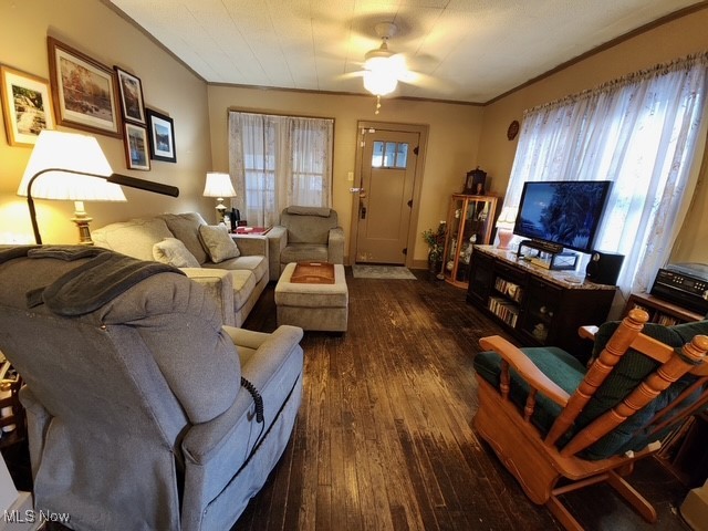 Allenside Allotment/Johnstons - Residential