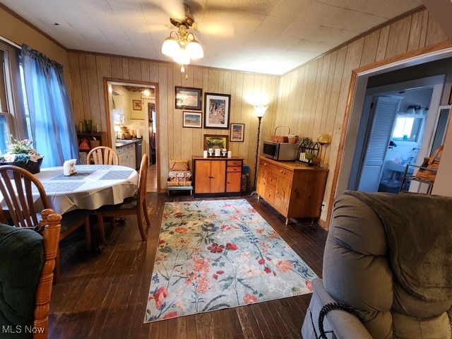 Allenside Allotment/Johnstons - Residential