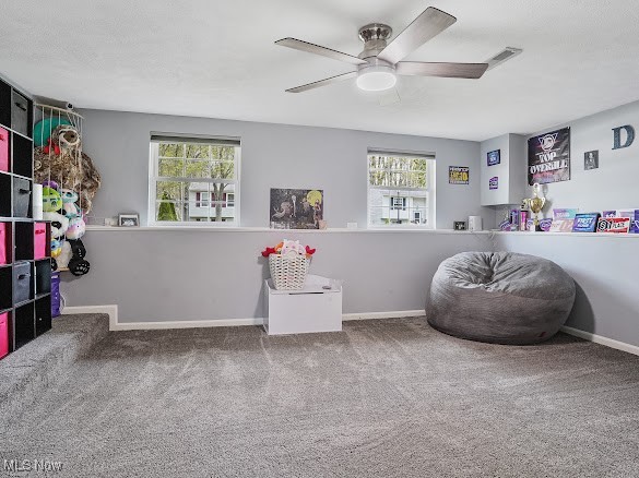 1072 Shadowlawn Drive, Ravenna, Ohio image 25
