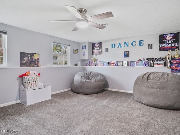 1072 Shadowlawn Drive, Ravenna, Ohio image 24