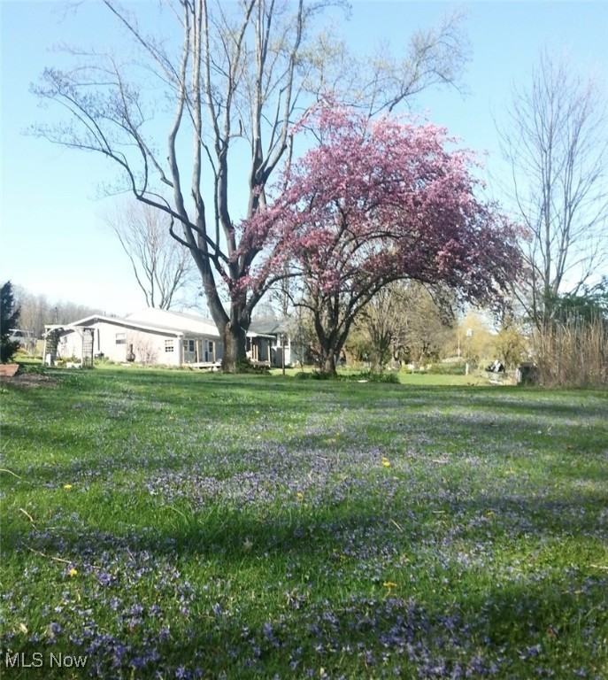 10311 Myers Road, Kensington, Ohio image 2