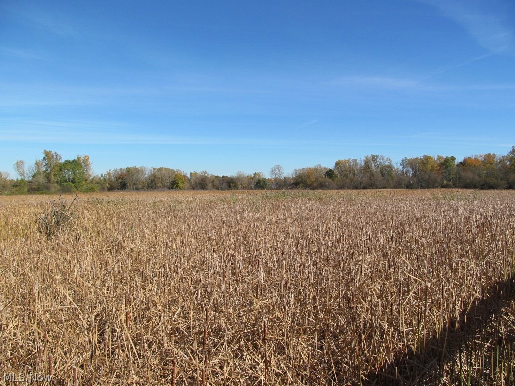 Congress Square Condo Ph 01 - Residential