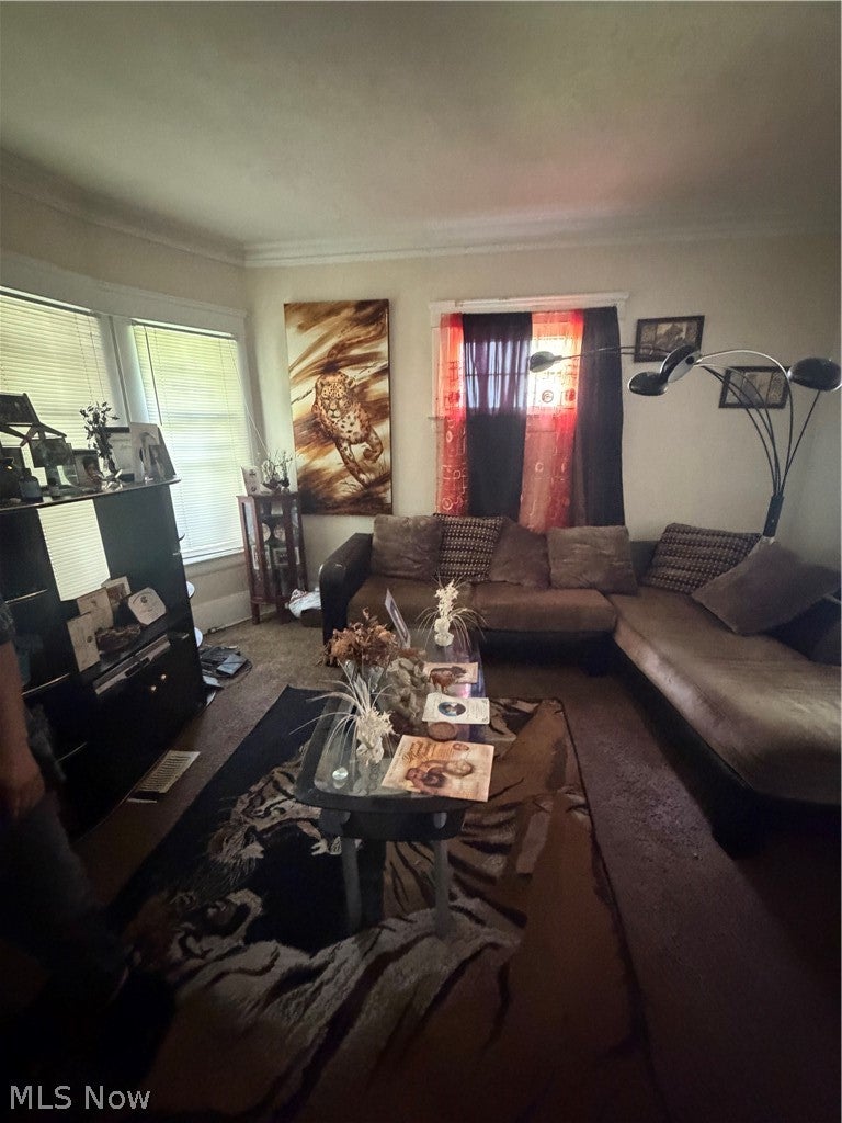 3217 Sycamore Road