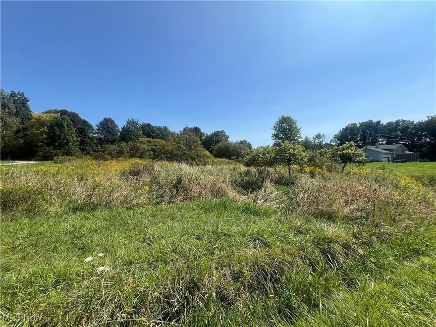 Wanting to build your dream home? Look no further! This lovely 2 acre building site is close to many amenities with that country feel. Enjoy the local wineries, restaurants, and beautiful lake side parks. It is also located near Geneva-On-The-Lake. Close to route 90. Don't miss this out on this amazing opportunity to see your home building dreams become a reality!