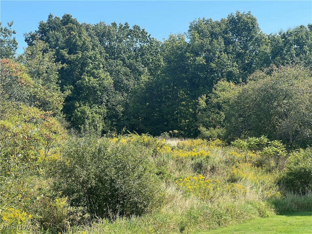 State Road, Rock Creek, Ohio image 3