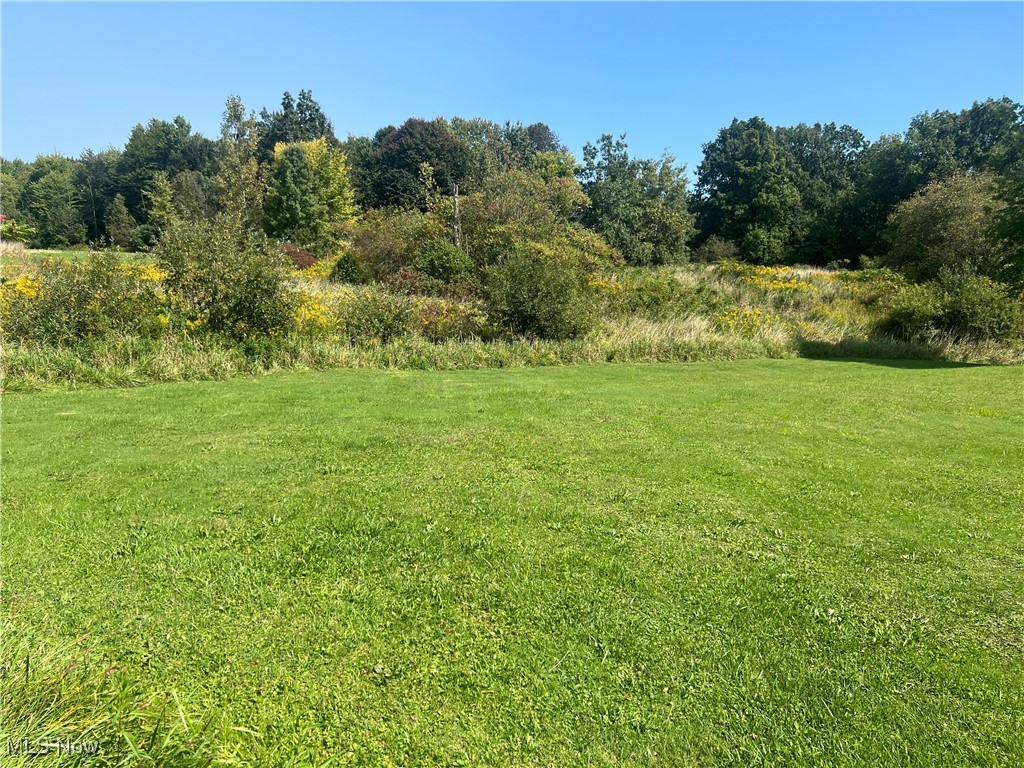 State Road, Rock Creek, Ohio image 4