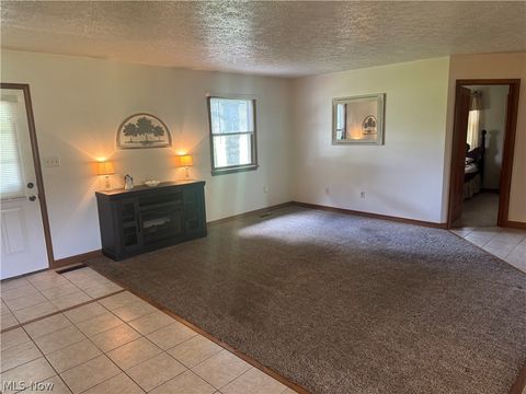 Tiny photo for 8285 Old River Rd Rd, Philo, OH 43771 (MLS # 5202906)
