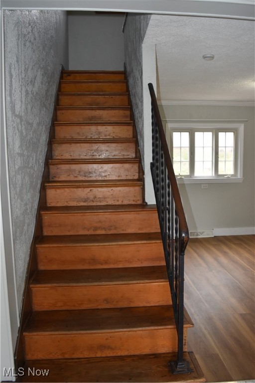 509 Ralston Avenue, Martins Ferry, Ohio image 21